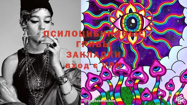 дурь Белоозёрский