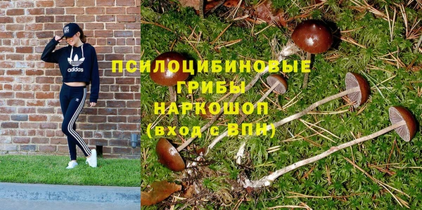 дурь Белоозёрский