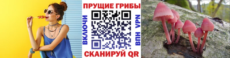 Псилоцибиновые грибы мухоморы  Пионерский 